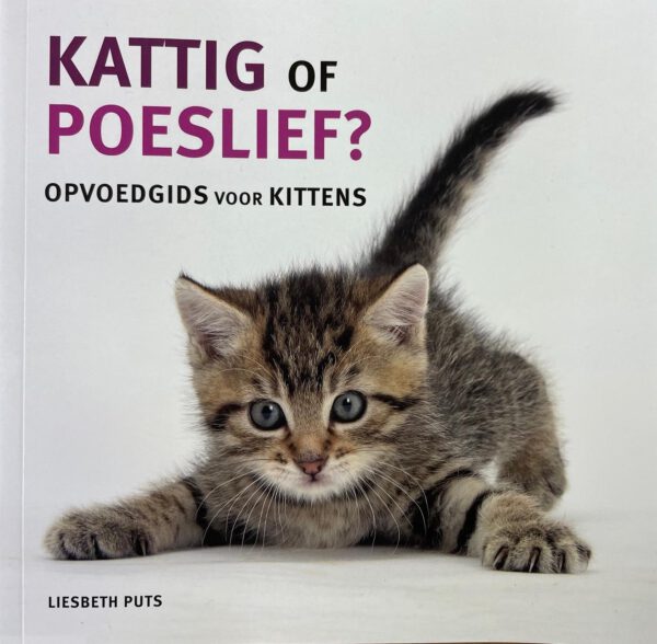 Kattig of poeslief? Opvoedgids voor kittens - Liesbeth Puts