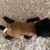 Kittenromper Jompie - maat 0 (voor kittens van 85 tot 200 gram) - Afbeelding 3