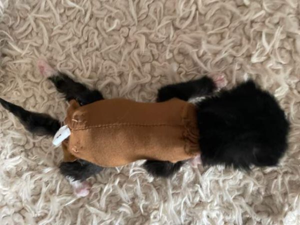 Kittenromper Jompie - maat 1 (voor kittens van 200 tot 350 gram) - Afbeelding 3