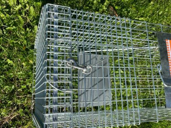 Vangkooi, lichtgewicht (4,6 kg), gegalvaniseerd - Afbeelding 5
