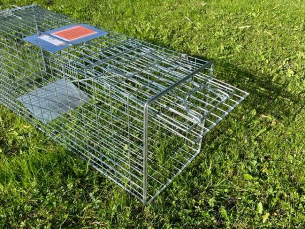 Vangkooi, lichtgewicht (4,6 kg), gegalvaniseerd - Afbeelding 2