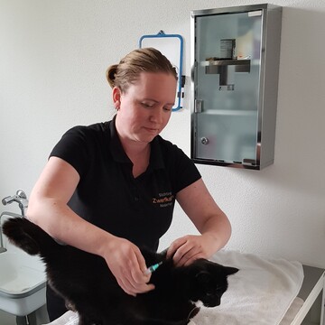 Het leed dat kattenziekte heet…
